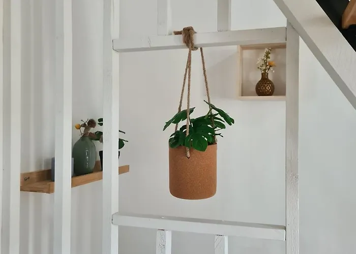 Le Pautin T3 Cozy A 10 Min Du Puy Dufou * Saint-Malo-du-Bois